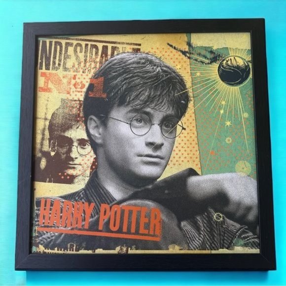 HARRY POTTER Framed Print, UNDESIRABLE No 1, Golden Snitch, Wizarding World HP - Picture 1 of 3
